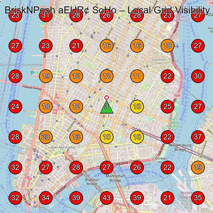 BriskNPosh aEUR¢ SoHo GeoGrid visibility map for Spa And Health Club in New York